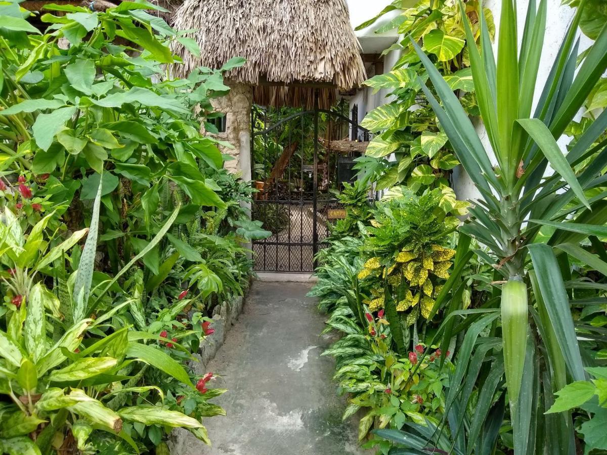 Casitas Kinsol Hotel Puerto Morelos Exterior foto